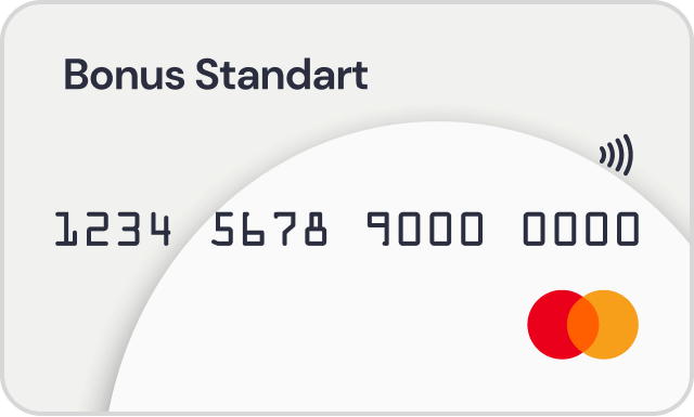 ING Bonus Standart kredi kartı ING Bonus Standart kredi kartı